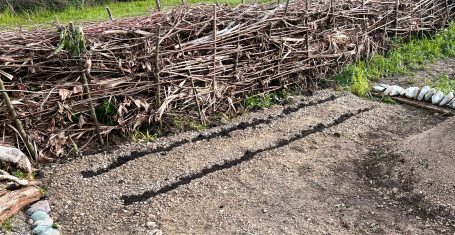 Benjes-Hecke vor Trockenbiotop